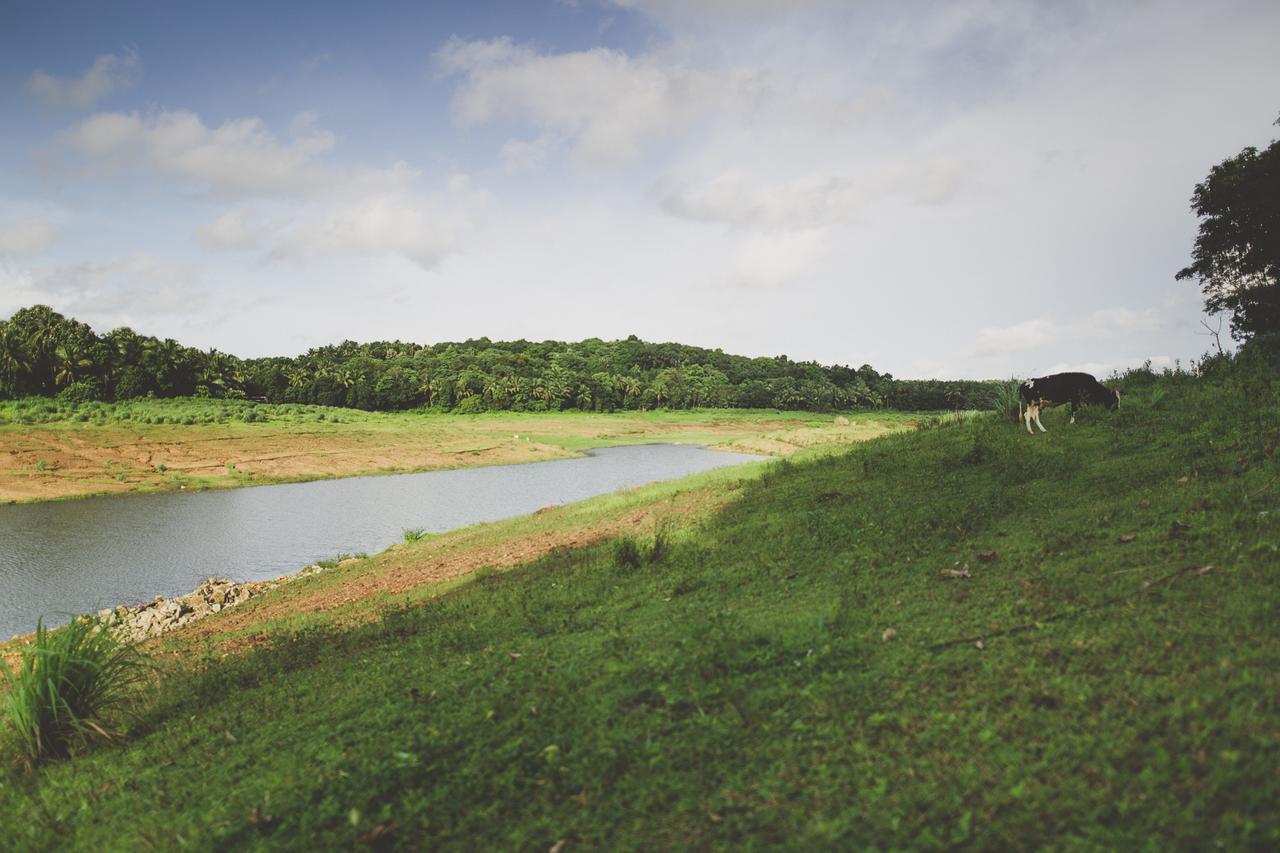 Riverine Springs Wadakkanchery Ngoại thất bức ảnh